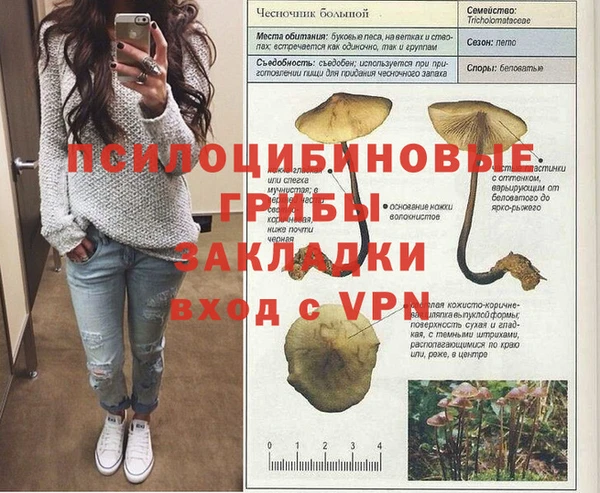 мескалин Тобольск